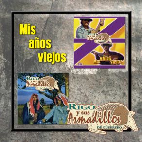 Download track Mis Años Viejos Sus Armadillos De Guerrero