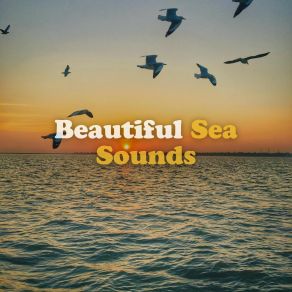 Download track Rolling Waves, Pt. 11 Ocean Sounds FX