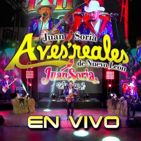 Download track Esta Cobardia (En Vivo) Aves Reales De Nuevo Leon