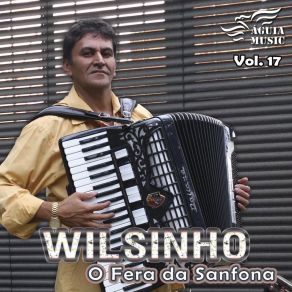 Download track Sanfoneiro Tá De Fogo Wilsinho O Fera Da Sanfona