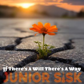 Download track What A Wonderful Life Junior Sisk