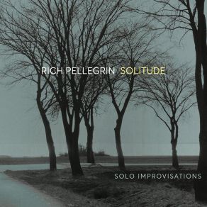 Download track Improvisation IV Rich Pellegrin