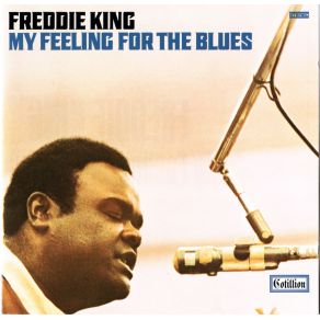 Download track Woke Up This Morning Freddie King