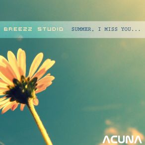 Download track Summer I Miss You Breezz Studio