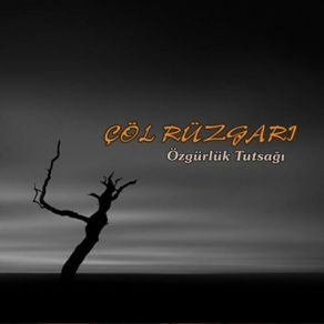 Download track Dayikamin Çöl Rüzgarı