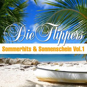 Download track Summer Lady Die Flippers