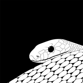 Download track Snakeoil (Rosa Klebb Remix) Spatial AwarenessRosa Klebb