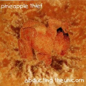 Download track Private Paradise The Pineapple Thief