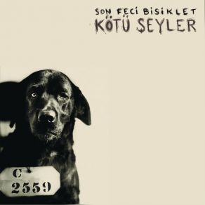 Download track Şu An Son Feci Bisiklet