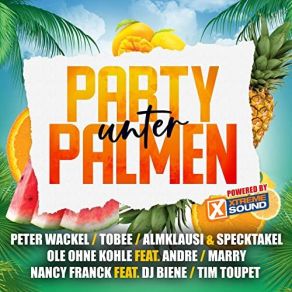 Download track Wir Haben Spaß Partymann Atze