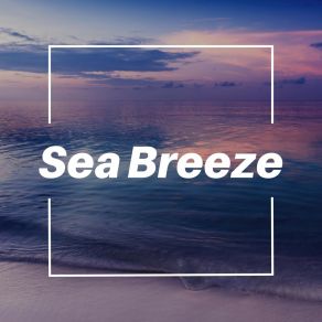 Download track Prime Ocean, Pt. 3 Relaxing Ocean Sounds