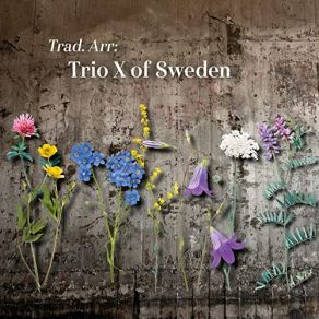 Download track Dalvisa Trio X Of Sweden