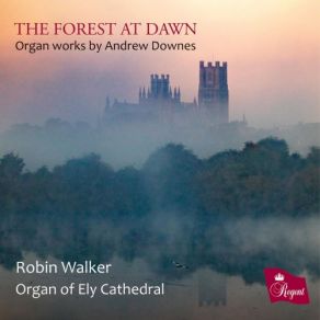 Download track Sonata For Organ, Op. 92- II. Allegro Vivace Robin Walker