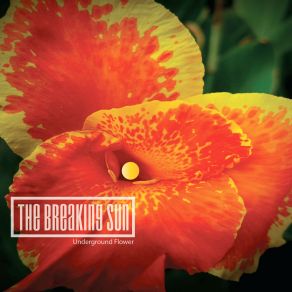 Download track Underground Flower (Broken Mix) The Breaking Sun