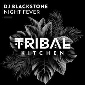 Download track Night Fever (Extended Mix) DJ Blackstone