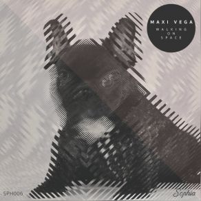 Download track Walking On Space Maxi Vega