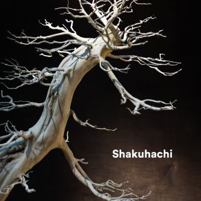 Download track Shakti Japanese Zen Shakuhachi