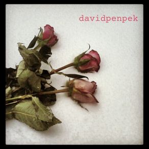 Download track Always Forever (Instrumental) David Penpek