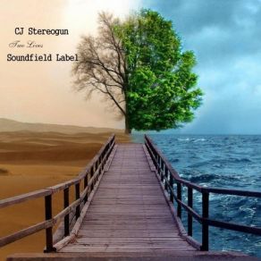 Download track Fleeting Love (No Got Vocal Mix) Cj Stereogun