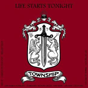 Download track Through The Fog Township