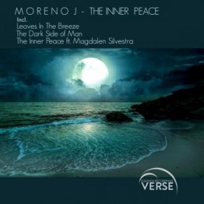 Download track The Dark Side Of Man Magdalen Silvestra, Moreno J