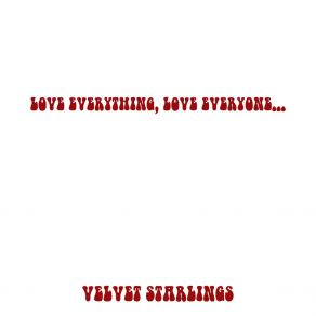 Download track Chasing Time Velvet Starlings