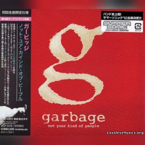 Download track Not Your Kind Of People Garbage