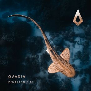 Download track Pentatonic Ovadia