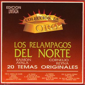 Download track Ahi Perdimos Todo Los Relampagos Del Norte