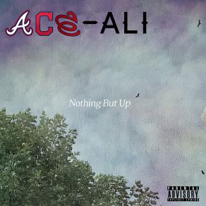 Download track Can't Stay Down Ace Ali