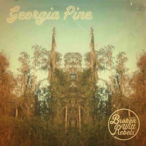 Download track Georgia Pine Broken Witt Rebels