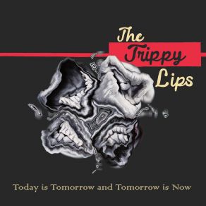 Download track Jungle Jim The Trippy Lips