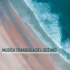 Download track Aparición Del Destello De La Claridad Olas Del Mar