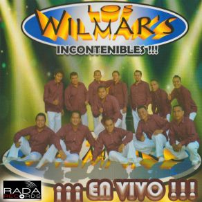 Download track Popurrí Colombiano Los Wilmar's