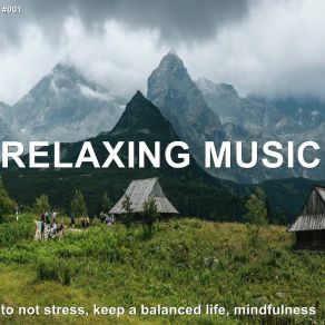 Download track Special Relaxing Spa Music