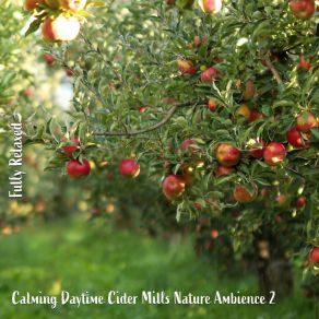 Download track Calming Daytime Cider Mills Nature Ambience, Pt. 12 Steve Brassel