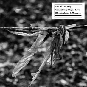 Download track For My Own Mental Health The Black Dog