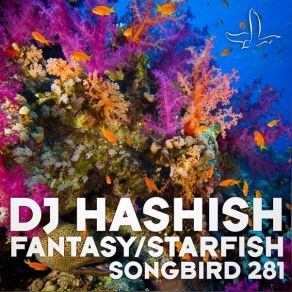 Download track Starfish DJ Hashish