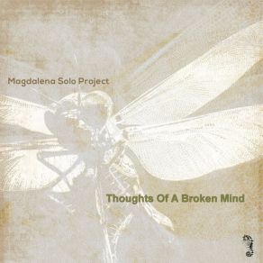 Download track Afas Magdalena Solo Project