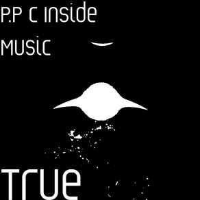 Download track True Inside Music