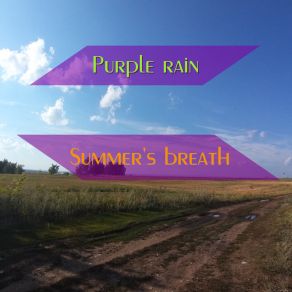 Download track Pumping Symphony Purple Rain