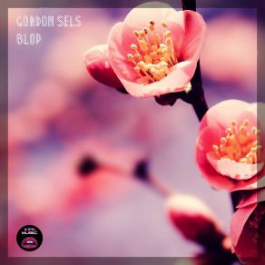 Download track Blop Gordon Sels