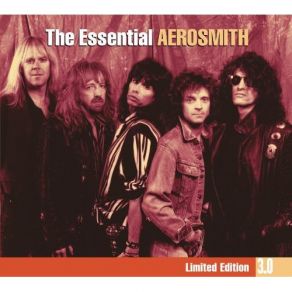 Download track Girls Of Summer Aerosmith