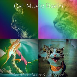 Download track Background For Cats Cat Music Radio