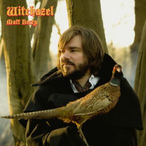 Download track Rain Came Down Matt Berry