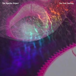 Download track Technicolor Clouds The Agartha Project