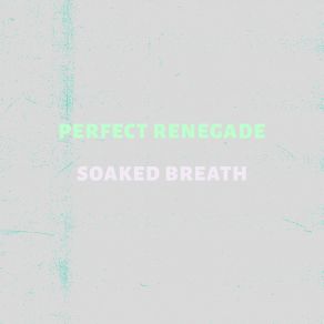 Download track Dark Spring Perfect Renegade