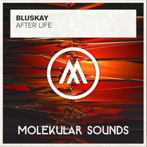 Download track After Life (Radio Edit) BluSkay