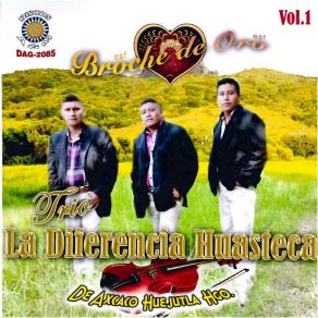 Download track La Huasteca Trio La Diferencia Huasteca