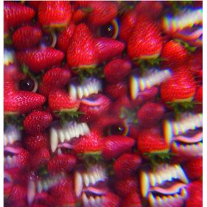 Download track I Come From The Mountain Thee Oh Sees